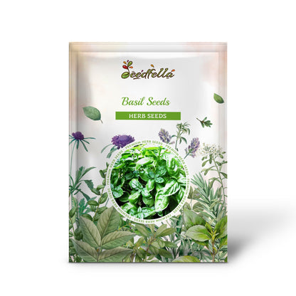 Basil Seeds for Planting Fresh Herbs