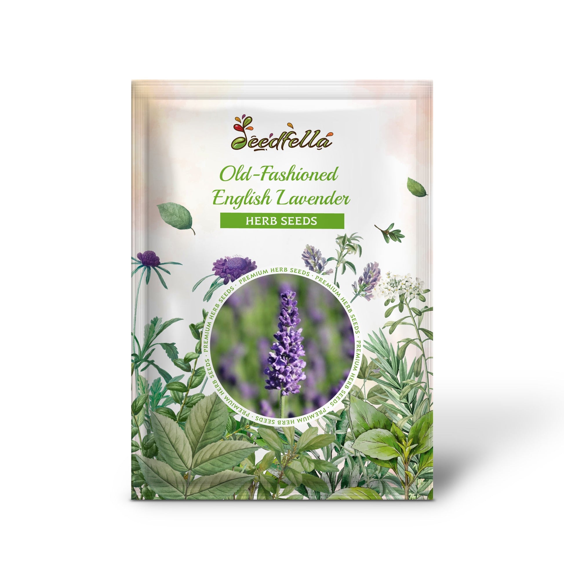 english garden seeds Old Fashioned English Lavender Vera Lavandula Angustifolia Seeds Organic Garden Seeds – Pure Asia Seeds