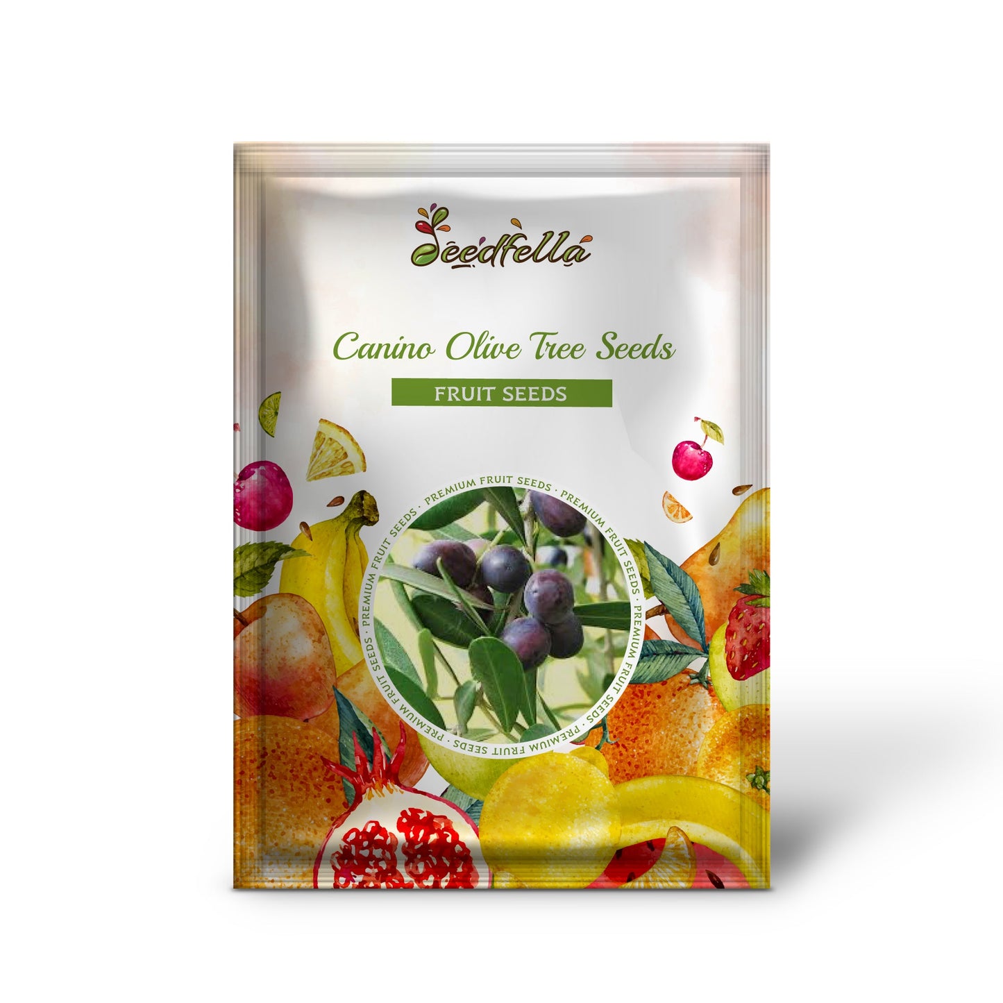 Canino Olive Tree (Olea europaea) Seeds – Edible European Common Green/Black Fruit