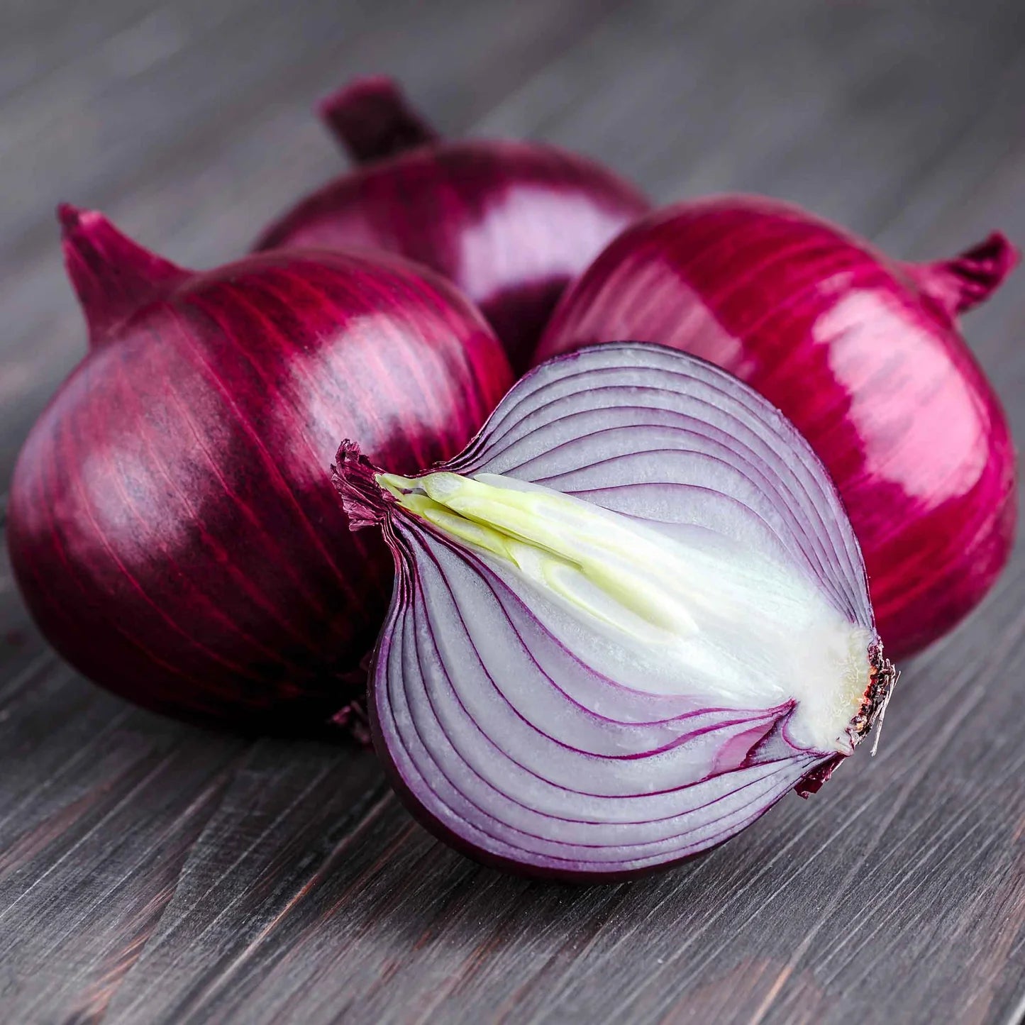 Red Onion vegetable Flower Seeds