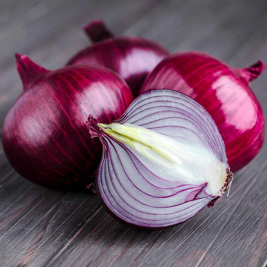 Red Onion vegetable Flower Seeds