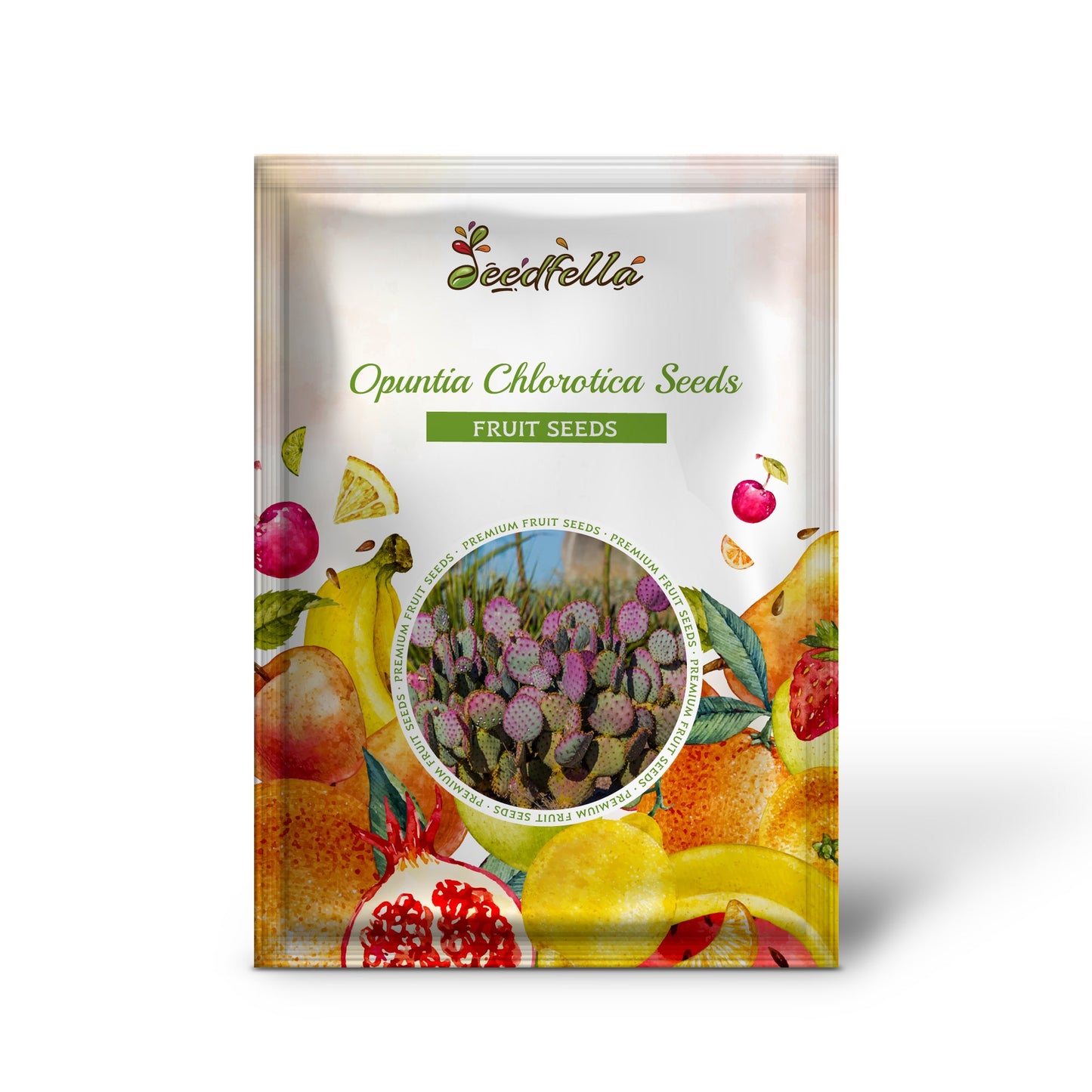 Opuntia Chlorotica Seeds for Planting Mixed Cactus Variety