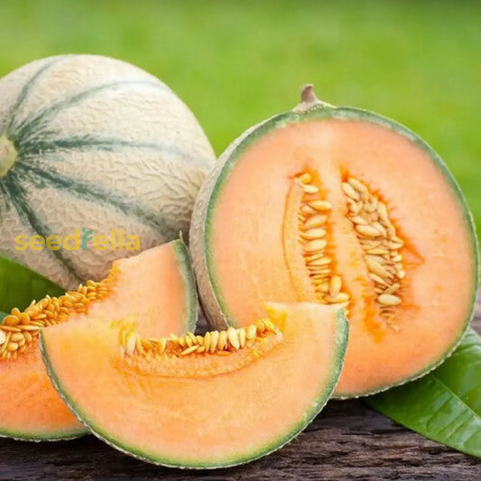 Orange Cantaloupe Melon Seeds For Planting Grow Delicious Homegrown Fruit heirloom non-gmo organic garden seeds