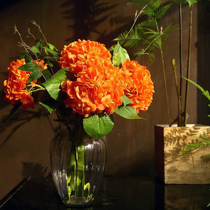 Orange Hydrangea Flower Seeds for planting and gardening