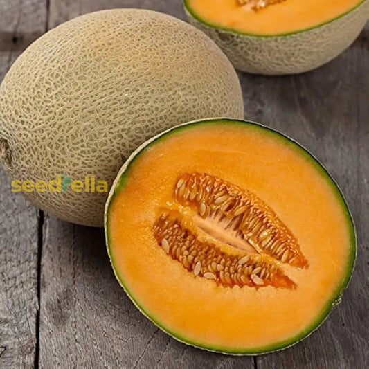 Orange Melon Vegetable Seeds For Easy Planting heirloom non-gmo organic garden seeds