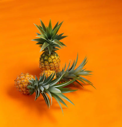 Orange Pineapple Seeds for Planting