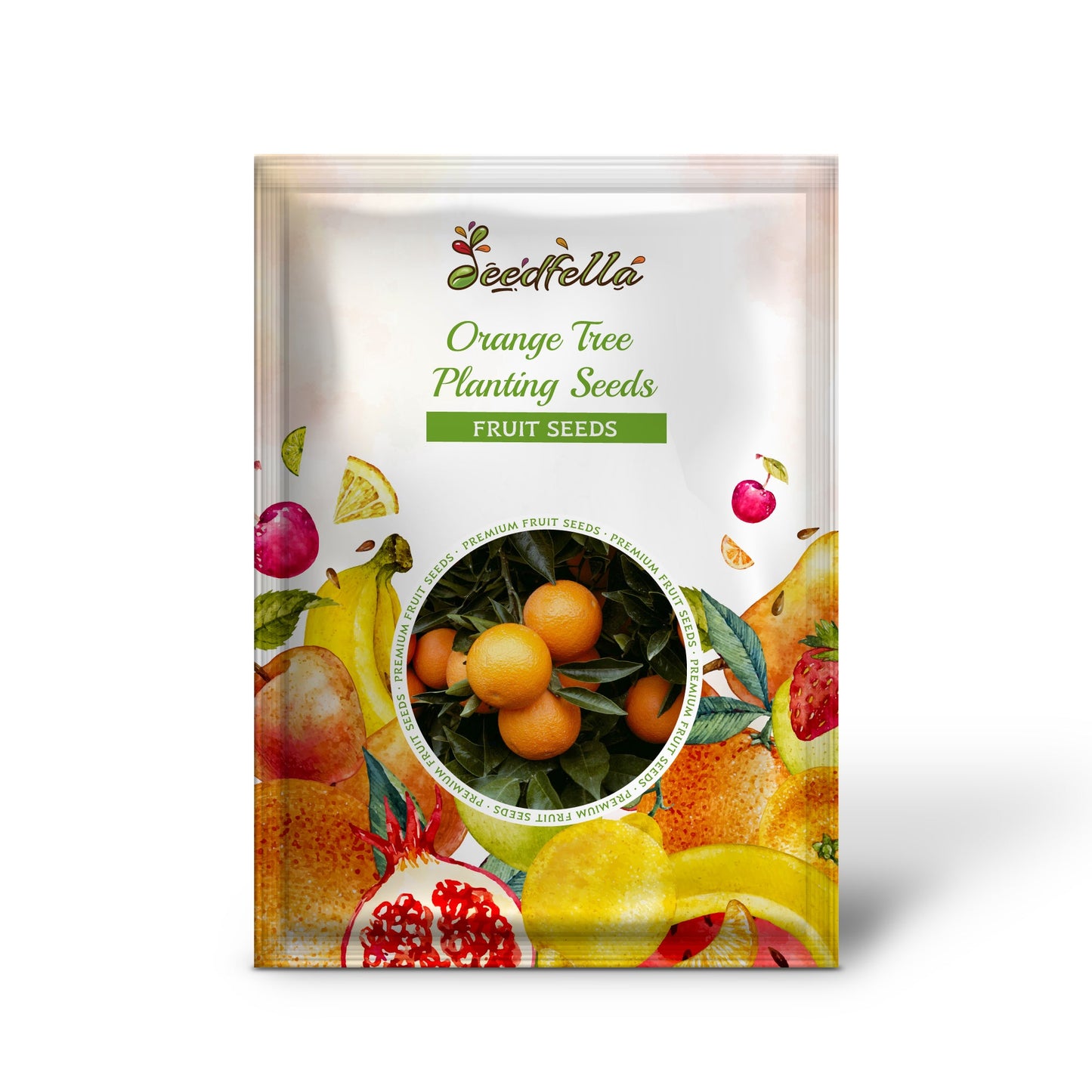 Orange Tree Planting Seeds - Grow Your Own Citrus at Home