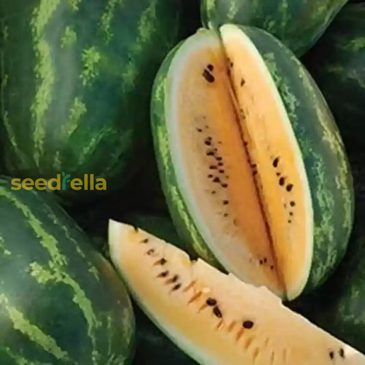 Orange Watermelon Seeds For Planting Grow Your Own Juicy Fruit heirloom non-gmo organic garden seeds