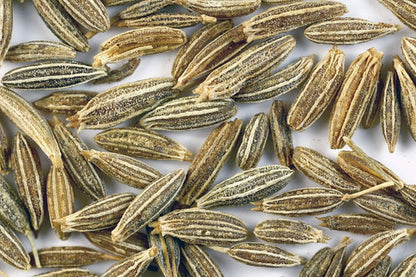 Organic Cumin Cuminum Cyminum Herb Flower Seeds heirloom non-gmo organic garden seeds