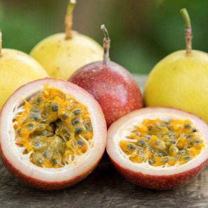 Dark Red Passion Fruit Seeds for Planting - Savor Sweet Exotic Fruits