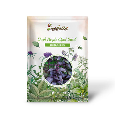 Dark Purple Opal Basil (Ocimum basilicum 'Dark Opal') Seeds