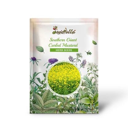 Southern Giant Curled Mustard (Ostrich Plume Brassica Juncea) Vegetable Herb Seeds