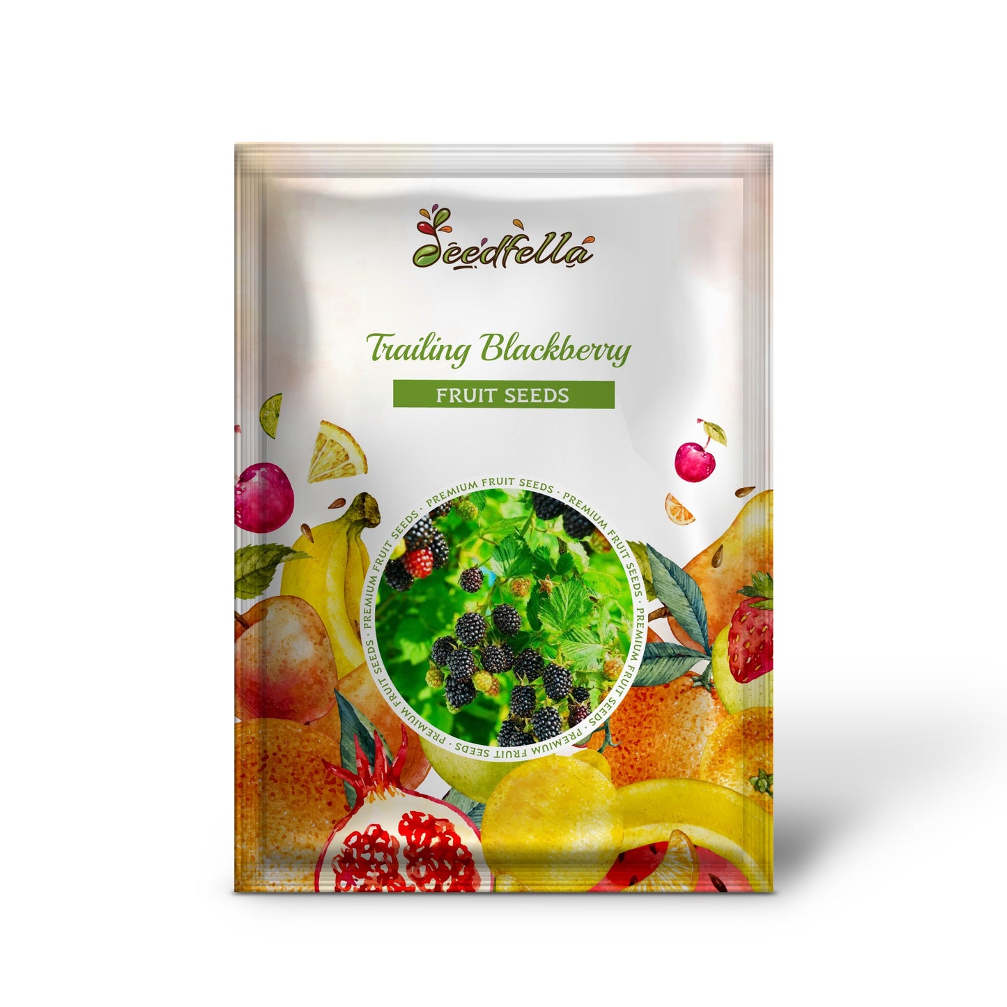 Trailing Blackberry (Rubus ursinus) Vining Shrub Fruit Berry Seeds – Pacific Blackberry