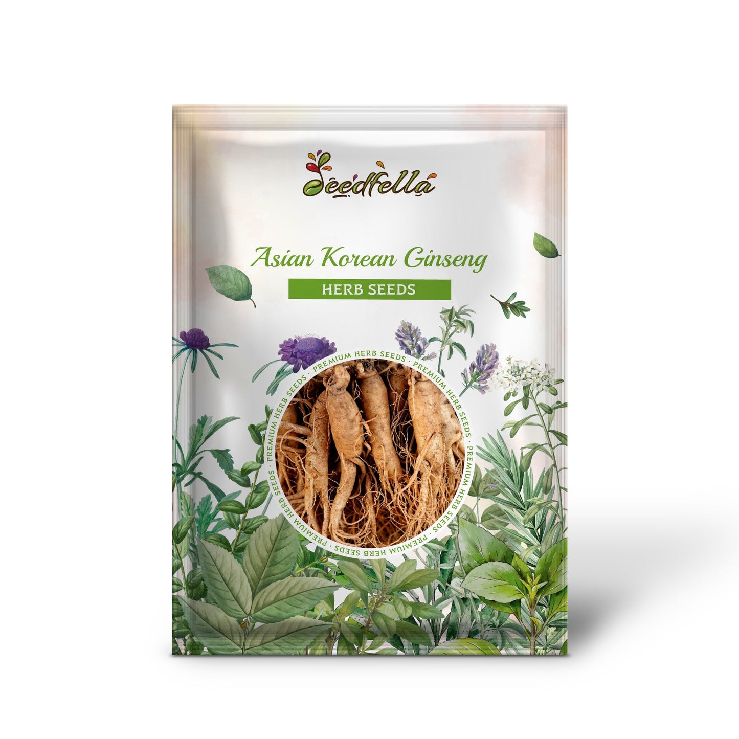 Asian Korean Ginseng (Panax ginseng) Shade Chinese Herb Seeds