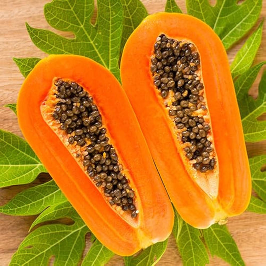 Papaya Carica Papaya Seeds For Planting For Tropical Garden heirloom non-gmo organic garden seeds