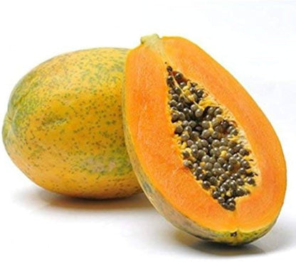 Papaya Carica papaya Fruit Seeds for Planting