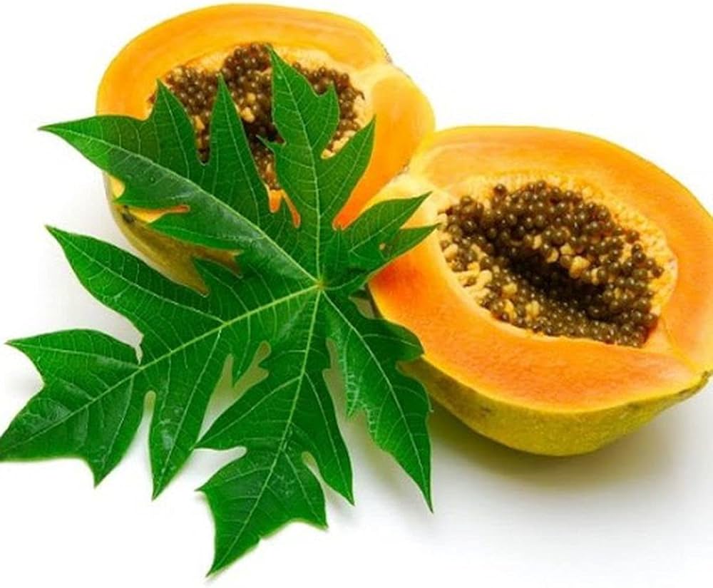 Papaya Seeds For Planting Carica Papaya Tropical Garden Backyard Orchard heirloom non-gmo organic garden seeds
