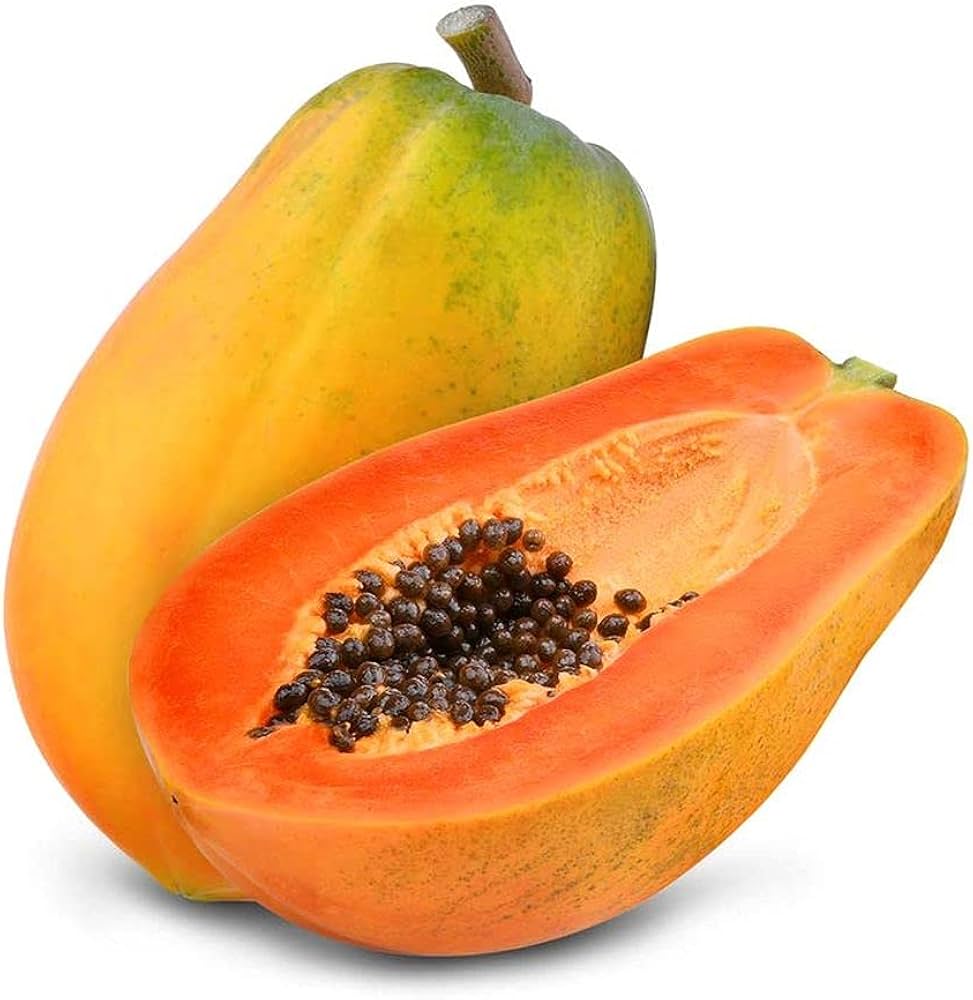Papaya Seeds for Planting Carica Papaya tropical garden backyard orchard