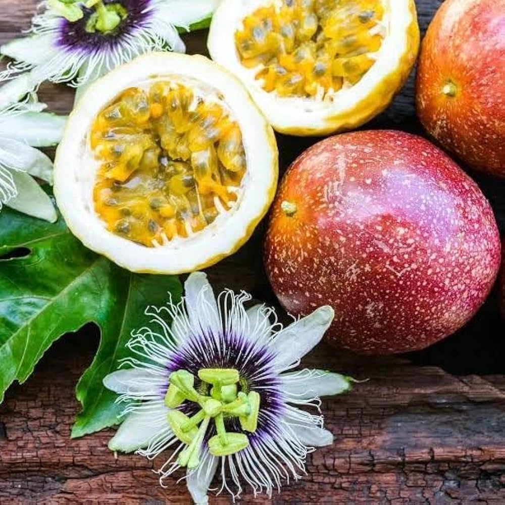 Passiflora Incarnata Seeds: Plant And Harvest Exotic Brown Fruits heirloom non-gmo organic garden seeds
