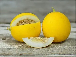 Peach Melon Cucumis Melo Fruit Seeds For Planting In Garden heirloom non-gmo organic garden seeds
