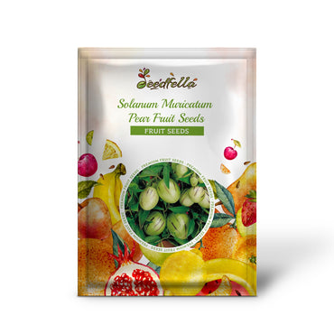 Solanum Muricatum Pear Fruit Seeds Planting