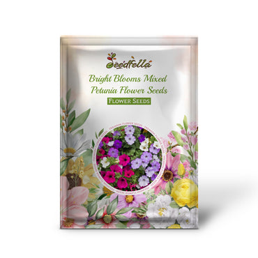 Mixed Petunia Flowers in Full Bloom