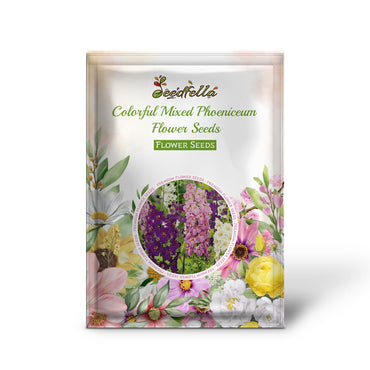 Mixed Phoeniceum Flowers Blooming in Garden Beds