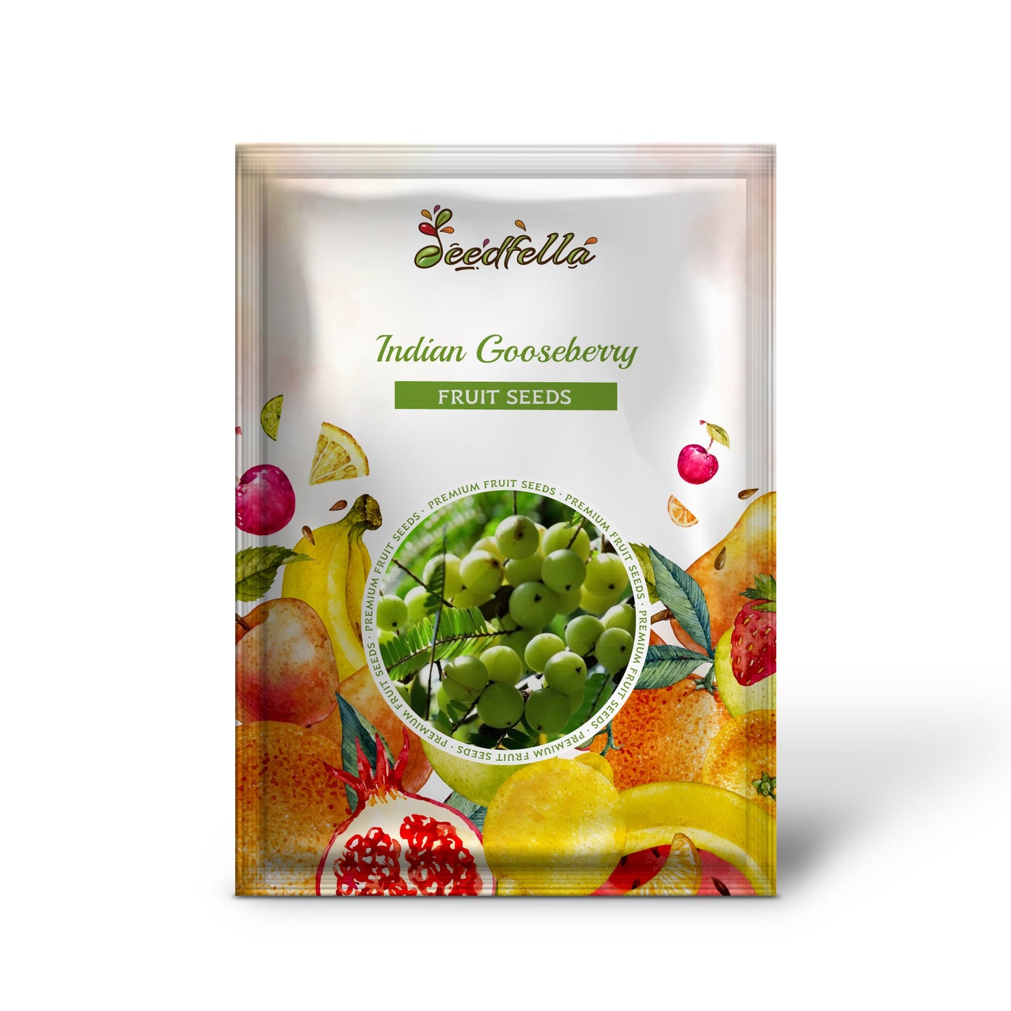 Indian Gooseberry (Phyllanthus emblica) Emblic Edible Fruit Tree Seeds