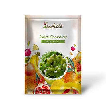 Indian Gooseberry (Phyllanthus emblica) Emblic Edible Fruit Tree Seeds