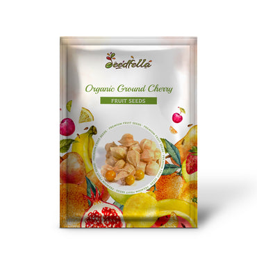 Organic Ground Cherry (Physalis pruinosa) Golden Strawberry / Chinese Lantern Vegetable Seeds