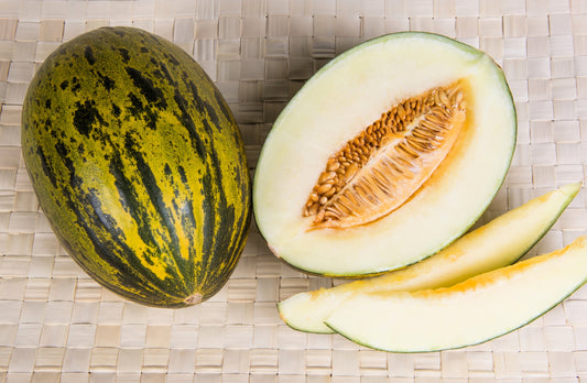 Piel De Sapo Melon Santa Claus Christmas Melon Cucumis Melo Green Yellow Fruit Seeds heirloom non-gmo organic garden seeds