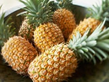 Pineapple Seeds For Tropical Planting heirloom non-gmo organic garden seeds