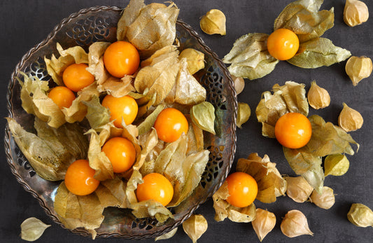 Pineapple Tomatillo Physalis Ixocarpa Yellow Ground Cherry Fruit Vine Seeds heirloom non-gmo organic garden seeds
