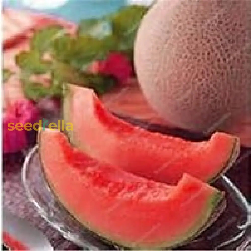 Pink Cantaloupe Seeds For Planting Sweet Melon Fruit heirloom non-gmo organic garden seeds