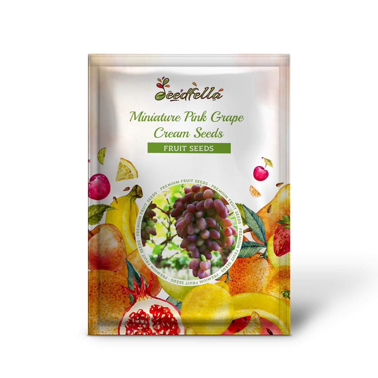Miniatur Rosa Traubencreme Samen zum Pflanzen