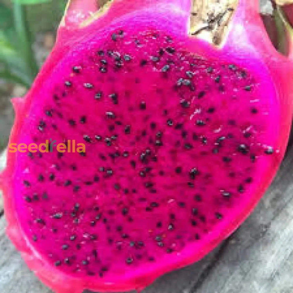 Pink Pitaya Seeds For Planting Grow Your Own Delicious Dragon Fruit heirloom non-gmo organic garden seeds