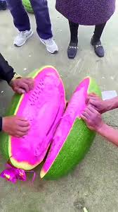 Pink Watermelon Seeds Planting Guide heirloom non-gmo organic garden seeds