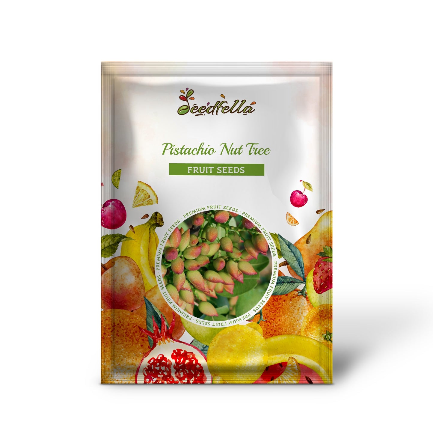 Pistachio Nut Tree (Pistacia vera) Fruit Tree Seeds – Delicious Nuts with Beautiful Red Flowers