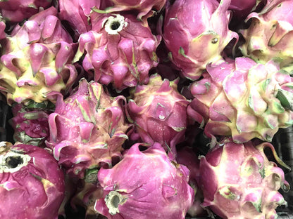Purple Dragon Fruit (Pitaya / Pitahaya / Strawberry Pear) Hylocereus Undatus Cactus Seeds