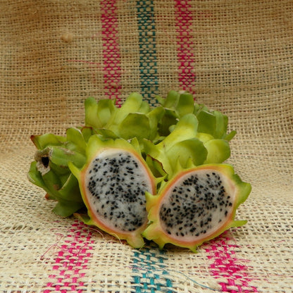 Pitaya Fruit Seeds - Easy to Grow Parrot Green for Unique and Adventurous Gardens