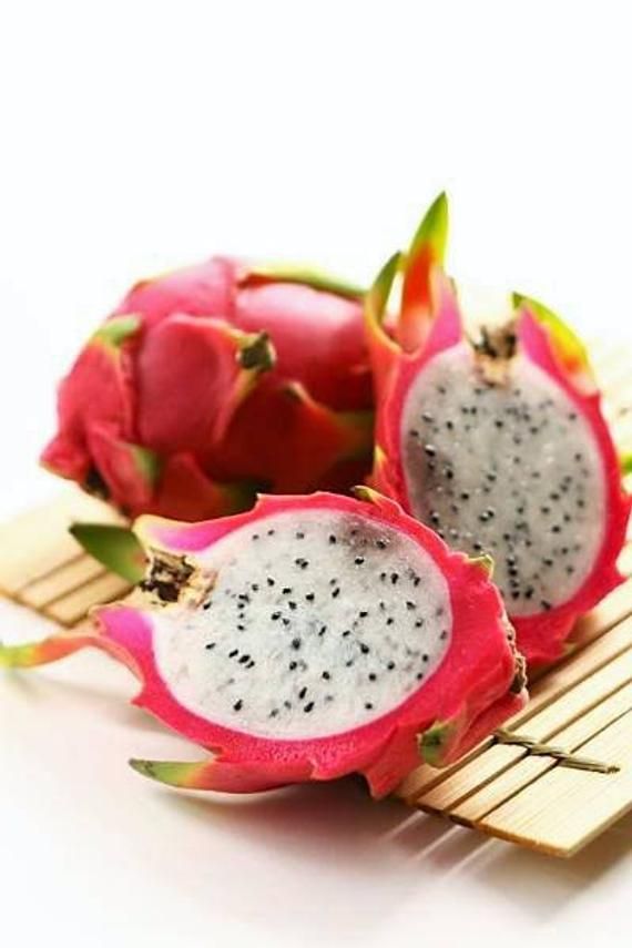 White Dragon Fruit (Pitaya / Pitahaya / Strawberry Pear) Hylocereus undatus Cactus Seeds