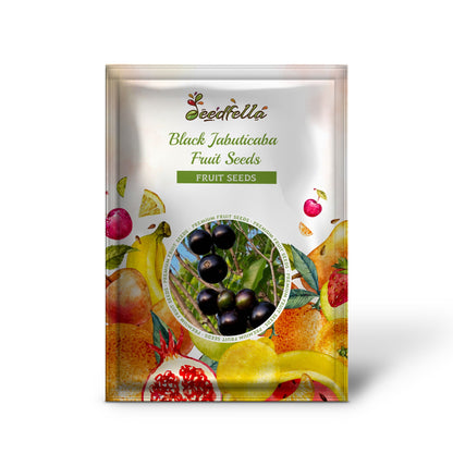 Black Jabuticaba Fruit Seeds for Planting - Grow Unique Edible Fruits