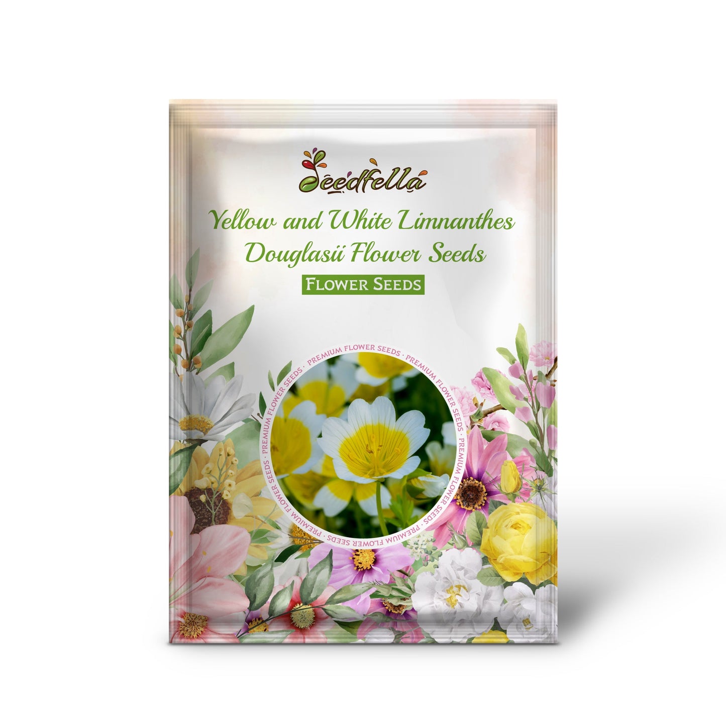 Poached Egg Plant Seeds  Limnanthes Douglasii Flower Seeds