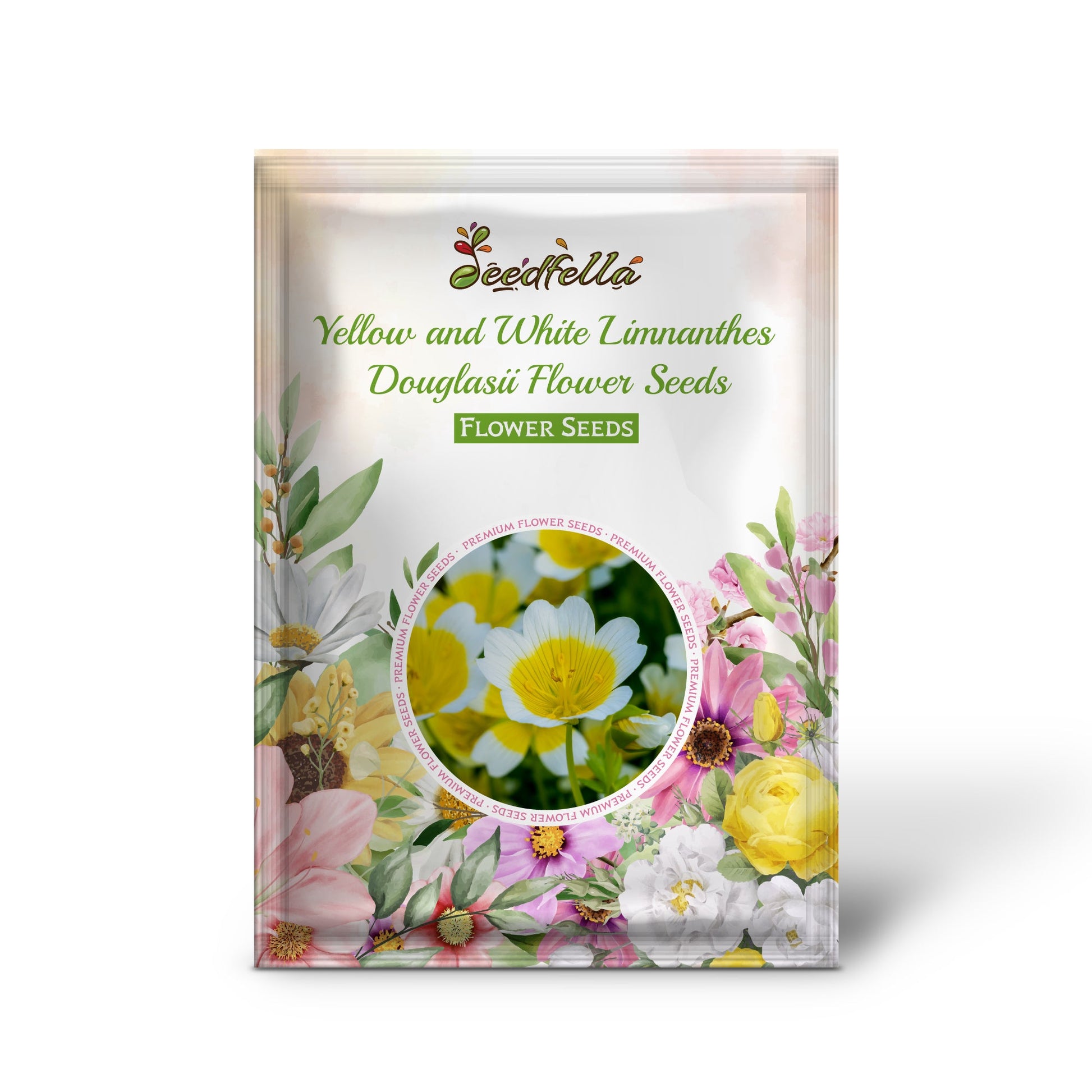 Poached Egg Plant Seeds  Limnanthes Douglasii Flower Seeds