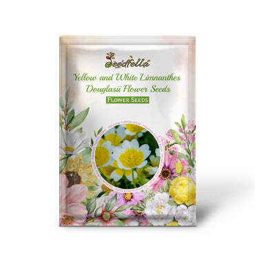 Poached Egg Plant Seeds  Limnanthes Douglasii Flower Seeds