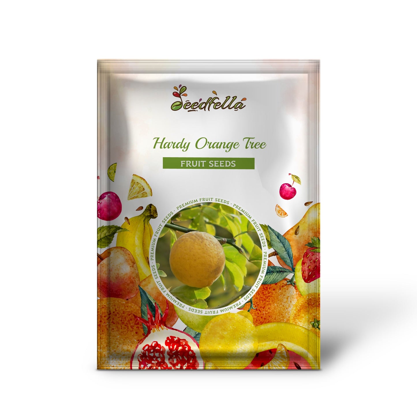 Hardy Orange Tree (Citrus trifoliata / Poncirus trifoliata) Fruit Tree White Flower Seeds