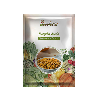 Pumpkin Seeds for Autumn Planting: Grow Your Own Harvest