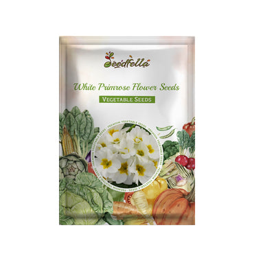 White Primrose Flower Seeds for Planting