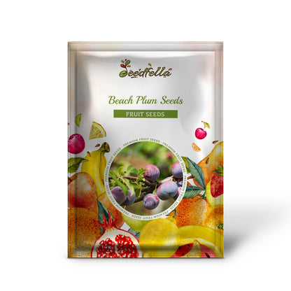 Beach Plum (Prunus Maritima) Native Edible Fruit Shrub Bush White Flower Seeds