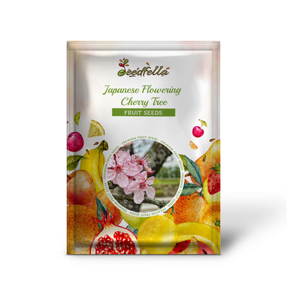 Japanese Flowering Cherry Tree (Prunus serrulata) Oriental Flower Seeds